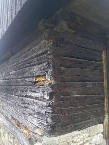 Skanzen Chanovice, 2015- nahrazení poškozených částí dřevěných konstrukcí novými, za použití dobových nástrojů a technik